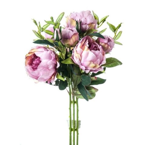 BUNCH PEONIA MAUVE